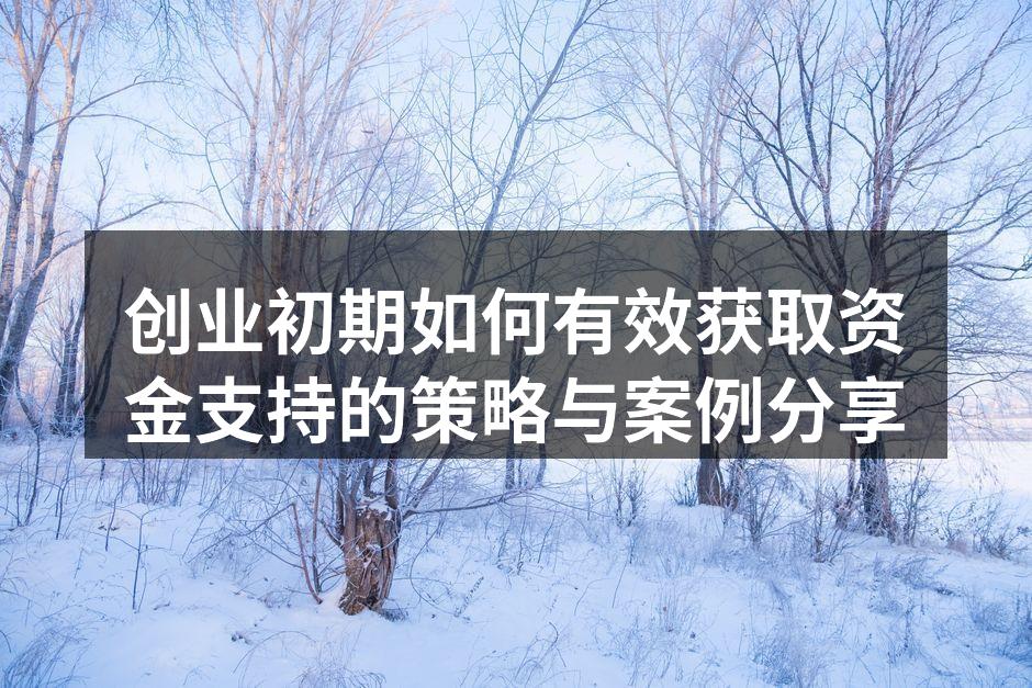 创业初期如何有效获取资金支持的策略与案例分享