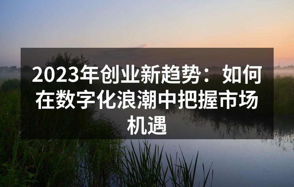 2023年创业新趋势：如何在数字化浪潮中把握市场机遇