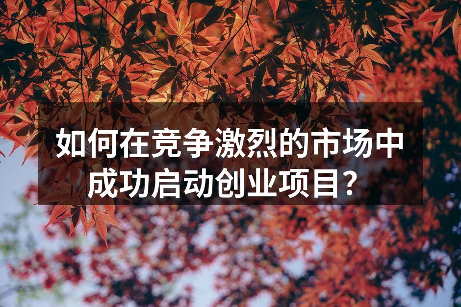 如何在竞争激烈的市场中成功启动创业项目？