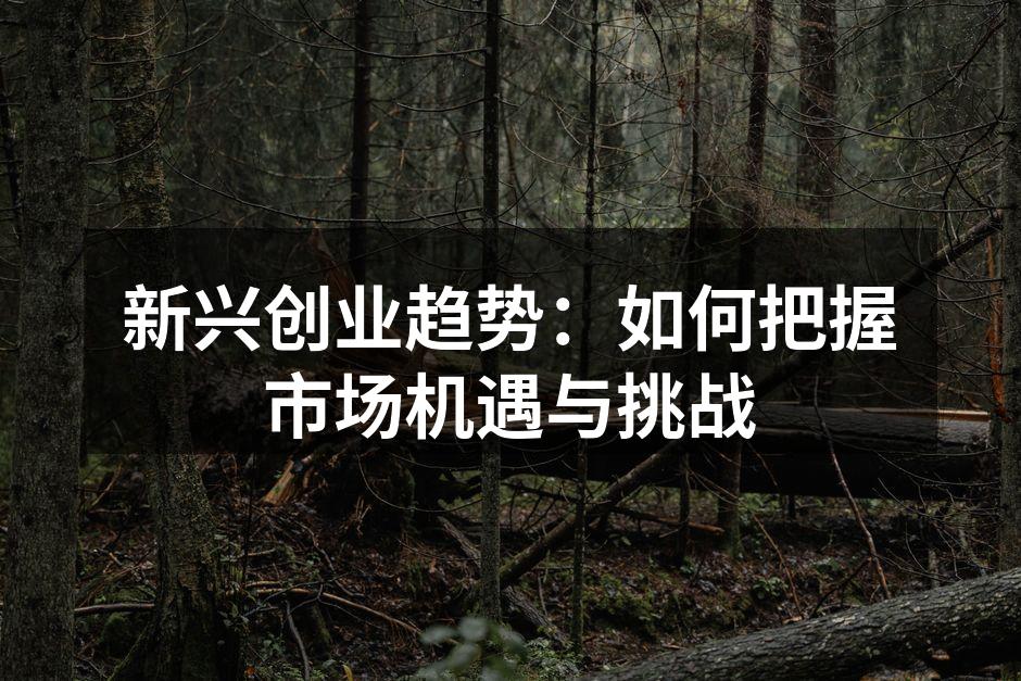 新兴创业趋势：如何把握市场机遇与挑战